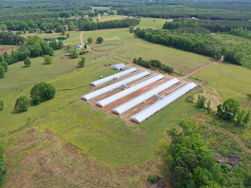 Stagecoach Pullet Farm : Carrollton : Carroll County : Georgia