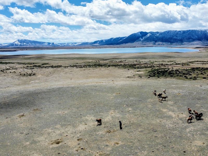 Lot 163 Wild Horse Ranch : Laramie : Albany County : Wyoming