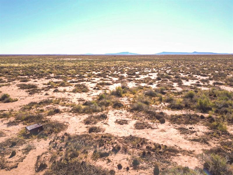 Rec and Elevation : Winslow : Coconino County : Arizona