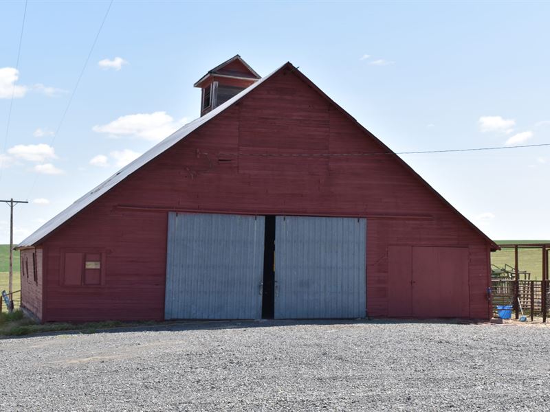 Kahlotus Cattle Ranch : Connell : Franklin County : Washington