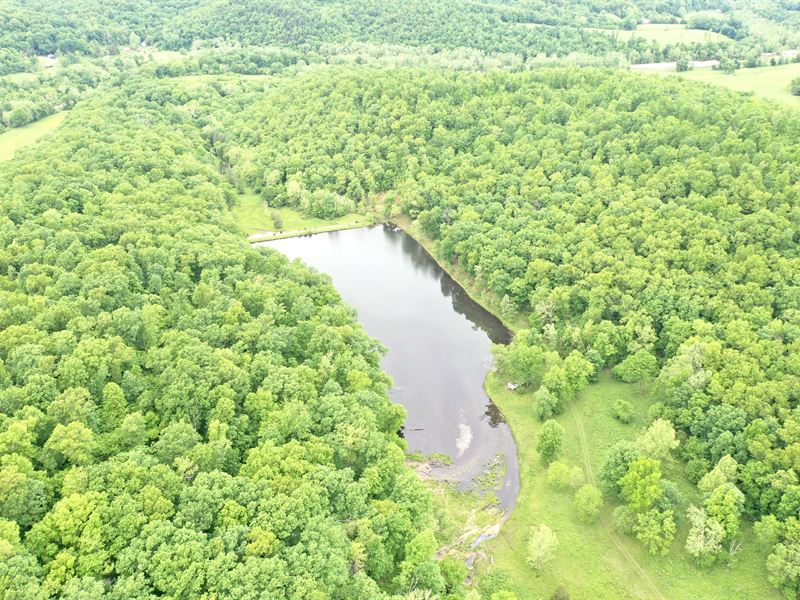135 Acres 6 Acre Private Lake Next : Davisville : Dent County : Missouri