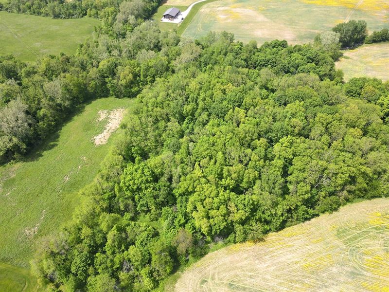 US Route 24 Offering 18.5 Acres : Lagro : Wabash County : Indiana