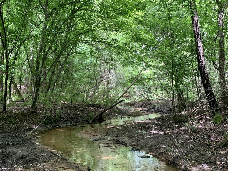 North Eades Tract : Carlton : Oglethorpe County : Georgia