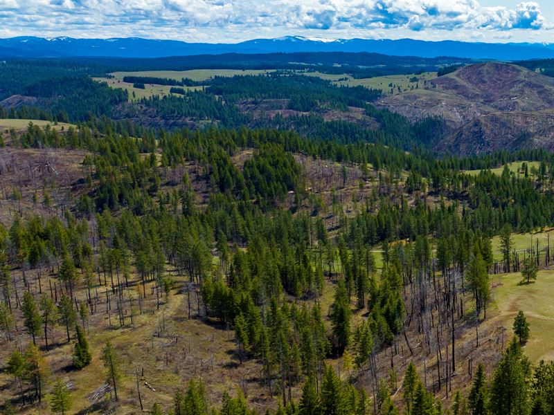 Elk Run, Lot 1 : Weippe : Clearwater County : Idaho