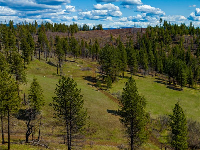 Elk Run, Lot 2 : Weippe : Clearwater County : Idaho