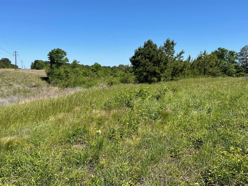 32.9 Acres in Covington County : Collins : Covington County : Mississippi