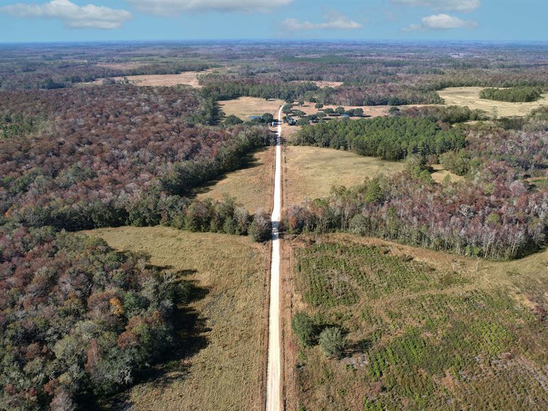 Knight Taylor Ranch North Tract : Tennille : Taylor County : Florida