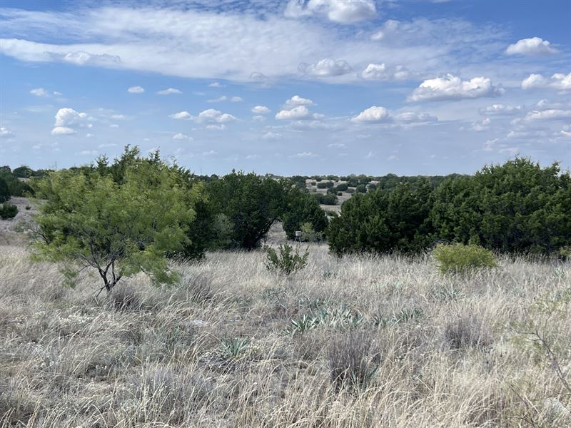 The Ranches at Sky Valley, Lot 20, Ranch for Sale in Texas, 322126 RANCHFLIP
