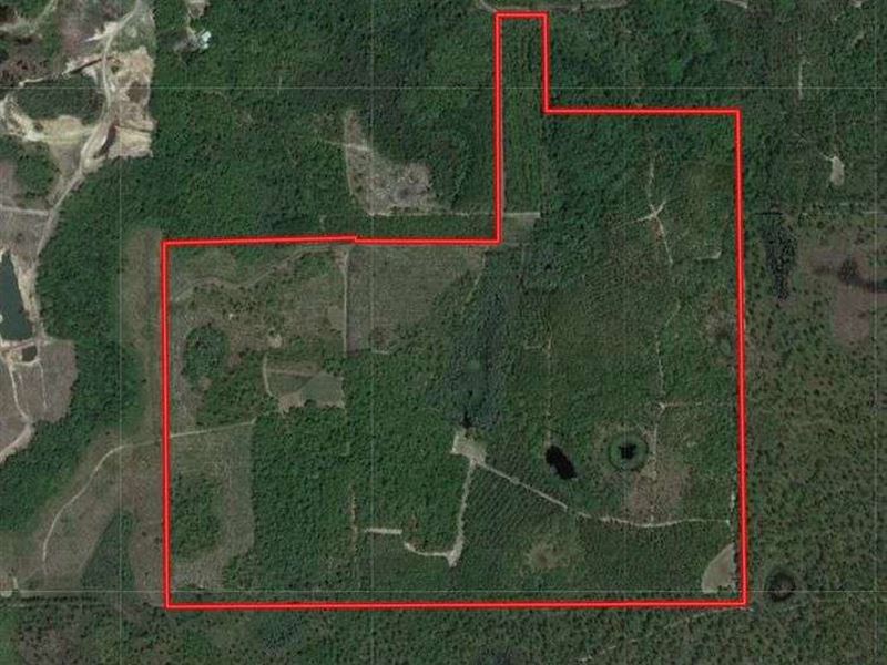 Pristine Recreational Land : Sopchoppy : Wakulla County : Florida