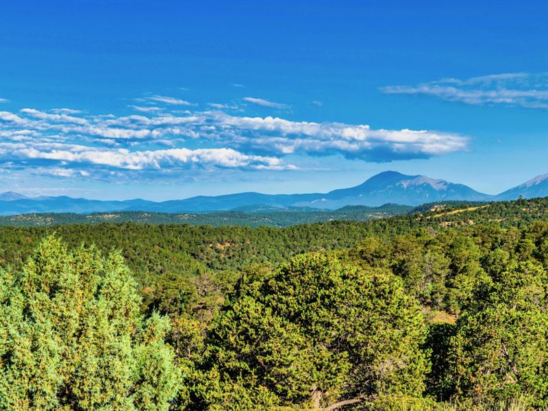 40 Mountain Acres, Road Access : Trinidad : Las Animas County : Colorado