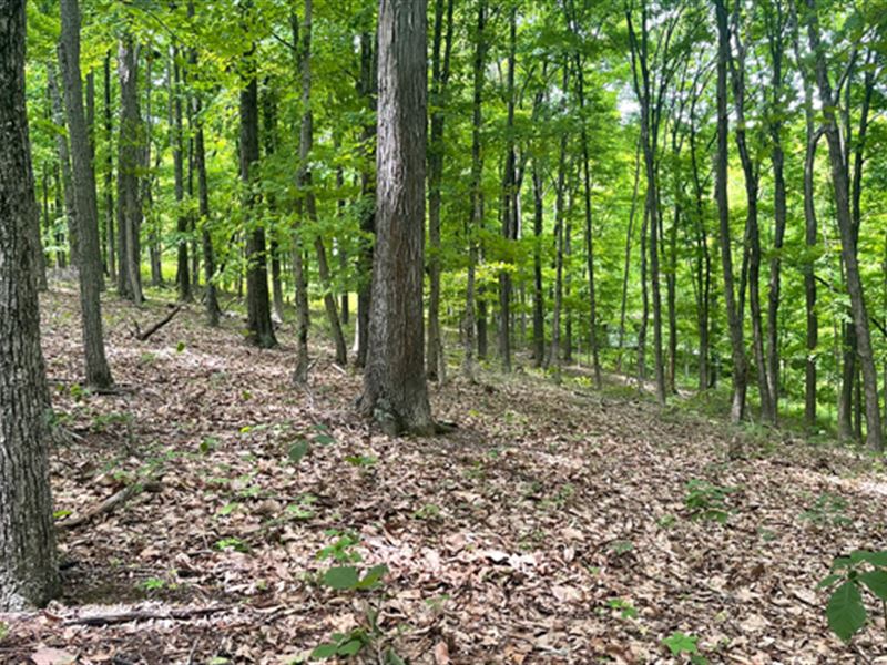 Land for Sale in Ross County, Ohio : Chillicothe : Ross County : Ohio