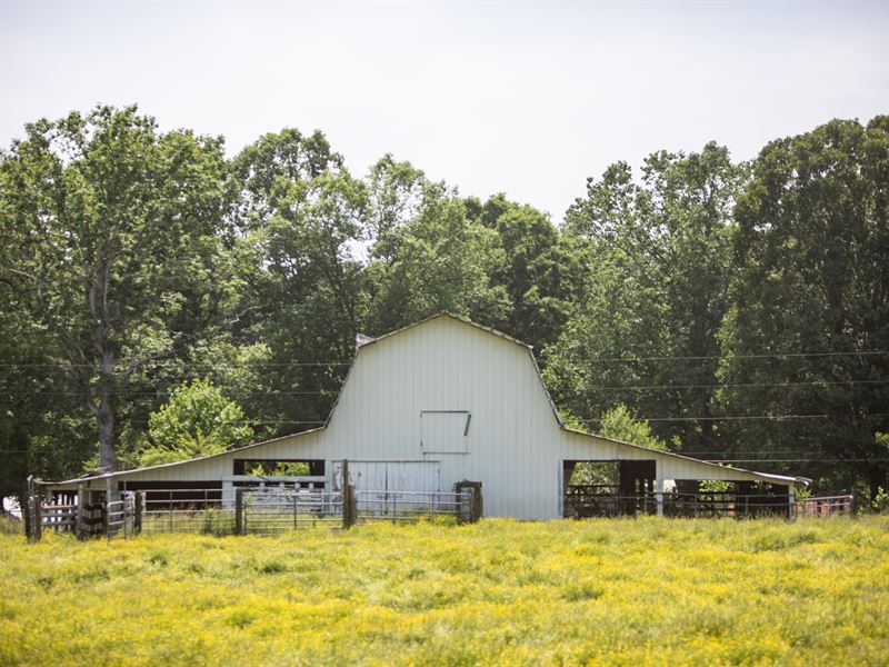 163 Acres in Hickman County : Centerville : Hickman County : Tennessee