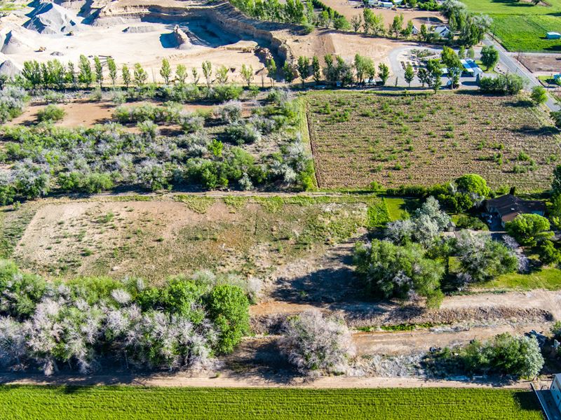 East Orchard Mesa Paradise Acres : Palisade : Mesa County : Colorado