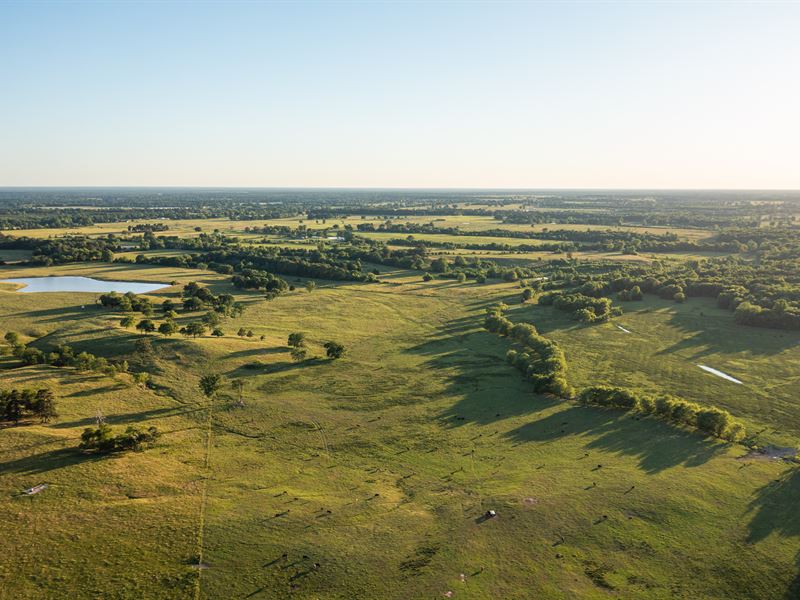 Northeast Texas Ranch for Sale : De Kalb : Bowie County : Texas