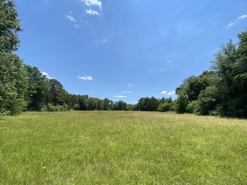 24.13 Ac Of Land for Sale in TN : Stantonville : McNairy County : Tennessee