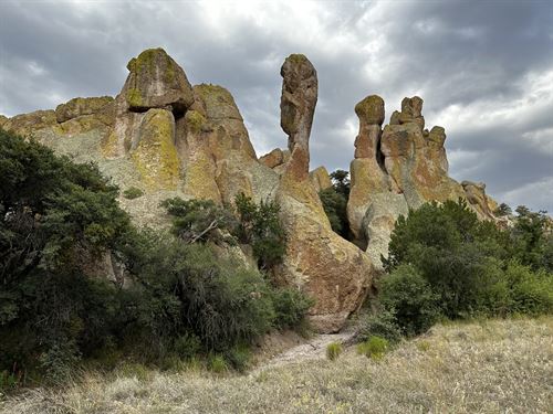 C Bar Ranch : Silver City : Grant County : New Mexico