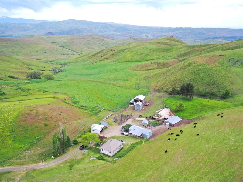 Klingback Hunting Ranch : Emmett : Gem County : Idaho
