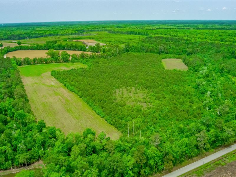 Hughes Lake Tract : Galivants Ferry : Horry County : South Carolina