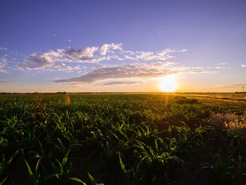 Big Red Farms : Mitchell : Scotts Bluff County : Nebraska