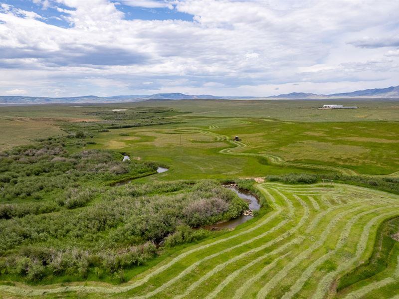 Spiegelberg Springs Ranch : Laramie : Albany County : Wyoming