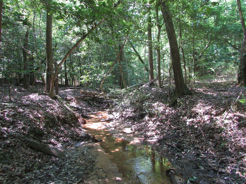 Cool Branch Road Tract : Morris : Quitman County : Georgia