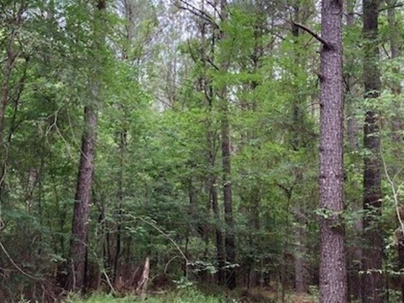 212 Acres in Clay County in West Po : West Point : Clay County : Mississippi
