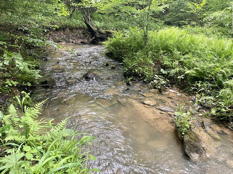 Sumey Rd, Farmington Pa, 20 Acres : Farmington : Fayette County : Pennsylvania