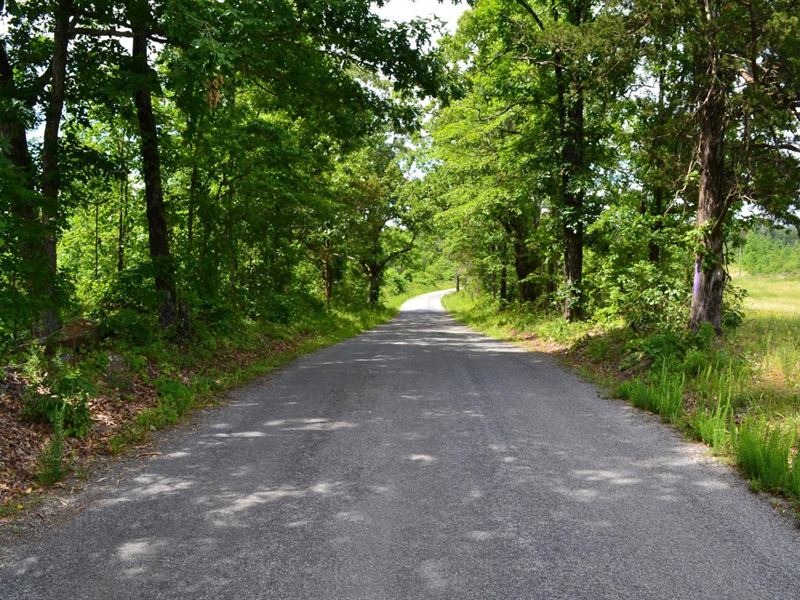 Price Reduced, 80 Acres : Shirley : Van Buren County : Arkansas