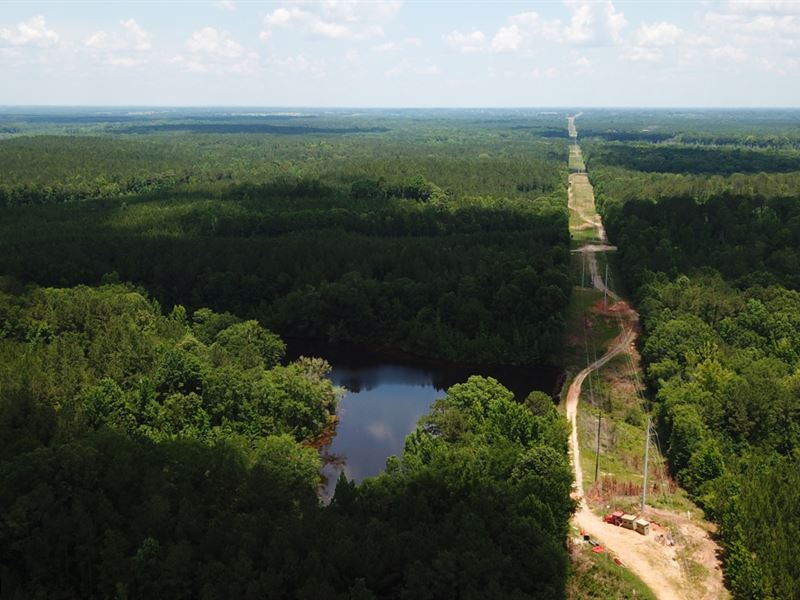 Lowndes County Hunting & Investment : Letohatchee : Lowndes County : Alabama