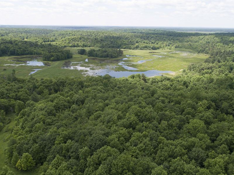 Sportsman's Paradise, Mixed Land : Antwerp : Jefferson County : New York