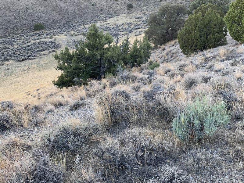 10 Acres in The NV Mountains : Montello : Elko County : Nevada