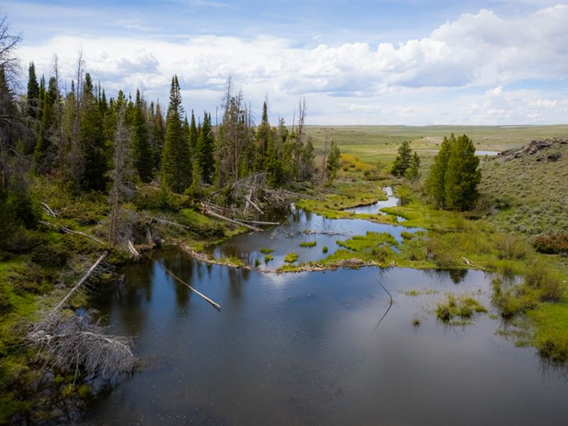 Dripping Arrow Ranch : Encampment : Carbon County : Wyoming