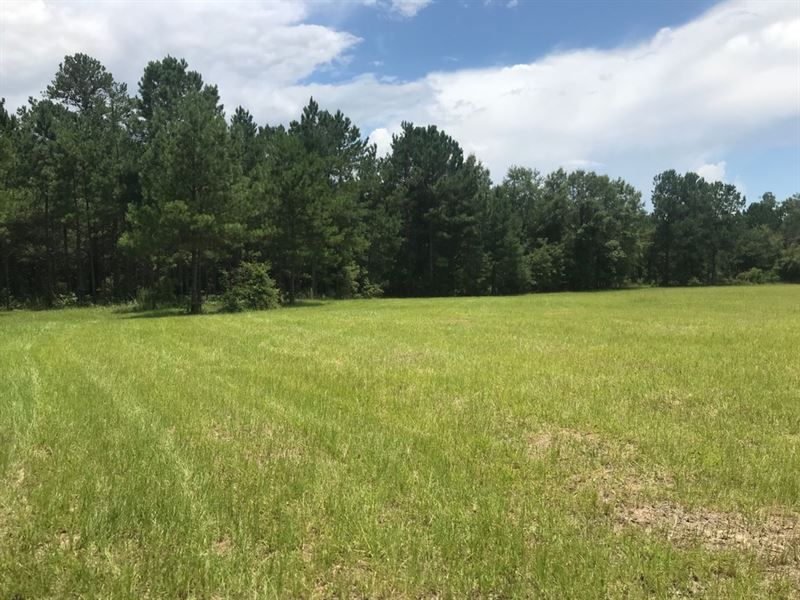 Hunting, Timber, Homesites : Adrian : Johnson County : Georgia
