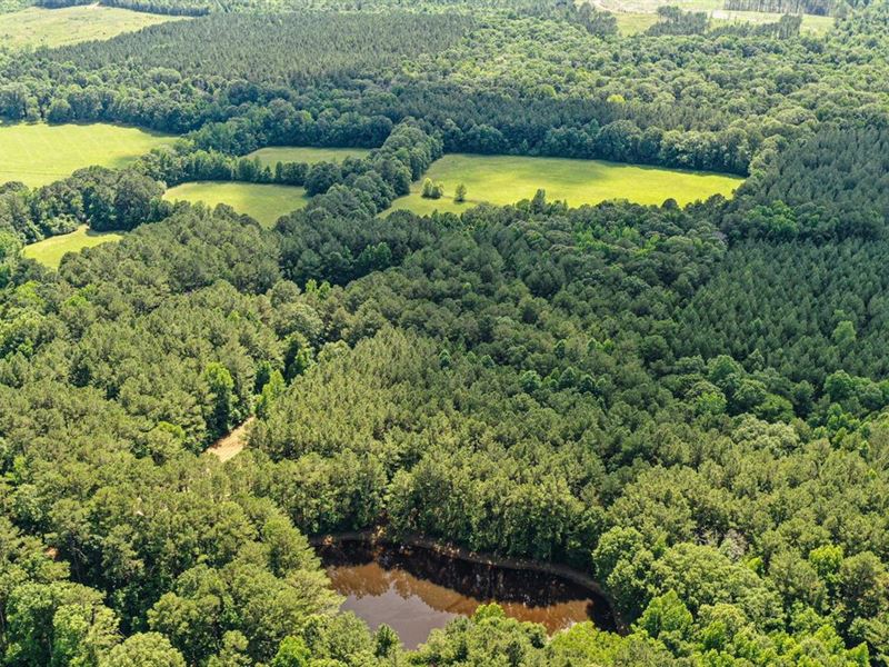 Down Home Timber 155.4 Acres Newton : Hickory : Newton County : Mississippi