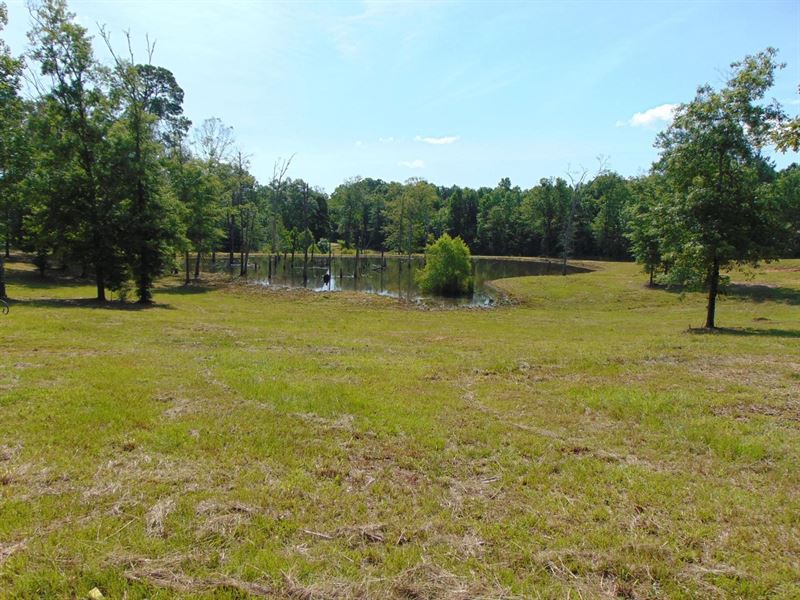28 Acres in Hazlehurst, Mississippi : Hazlehurst : Copiah County : Mississippi