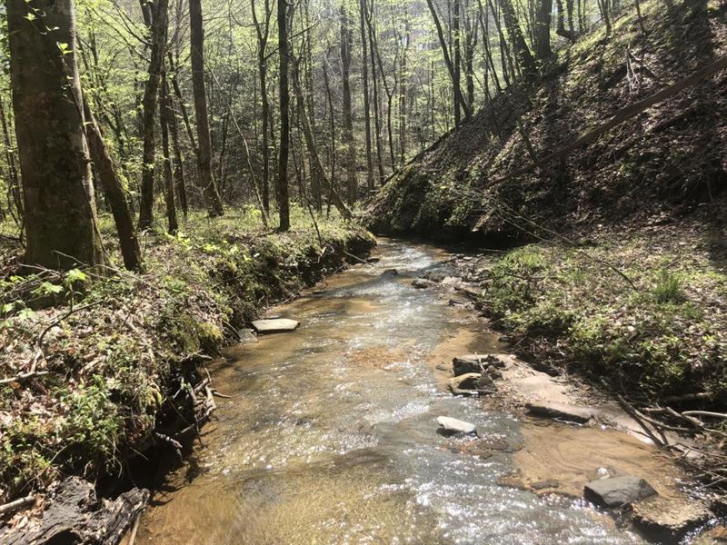 Beaver Creek Retreat : Bankston : Fayette County : Alabama
