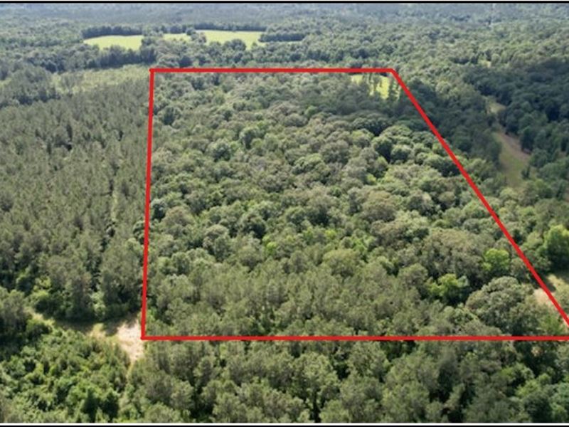 20 Acres in Lawrence County in Mont : Monticello : Lawrence County : Mississippi