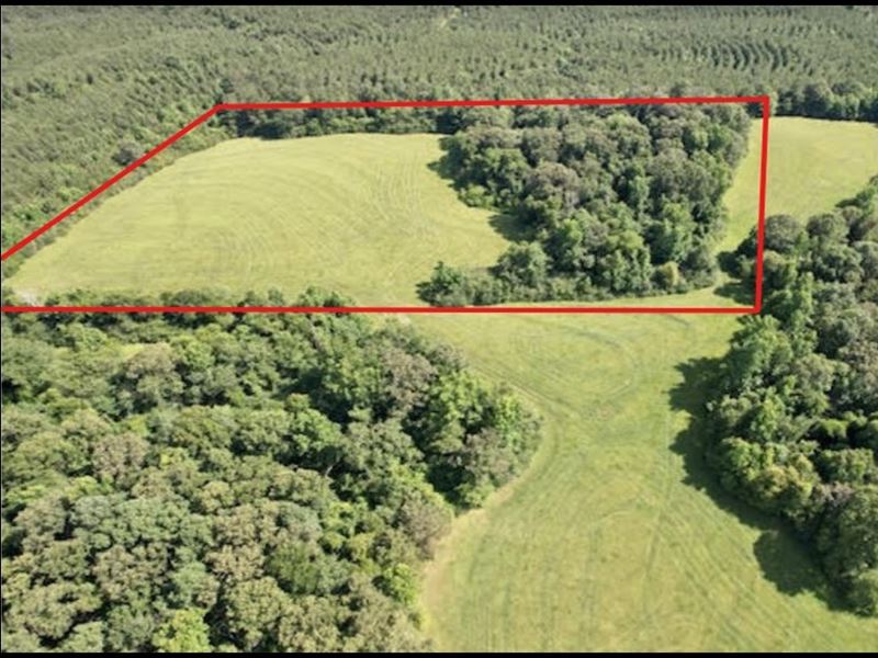 14.24 Acres in Lawrence County : Monticello : Lawrence County : Mississippi