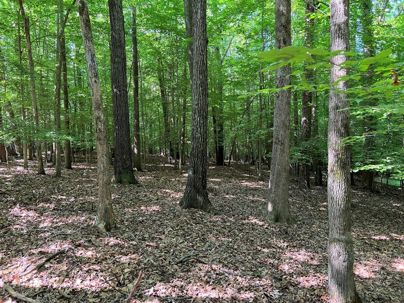East Spartanburg Acreage : Spartanburg : Spartanburg County : South Carolina