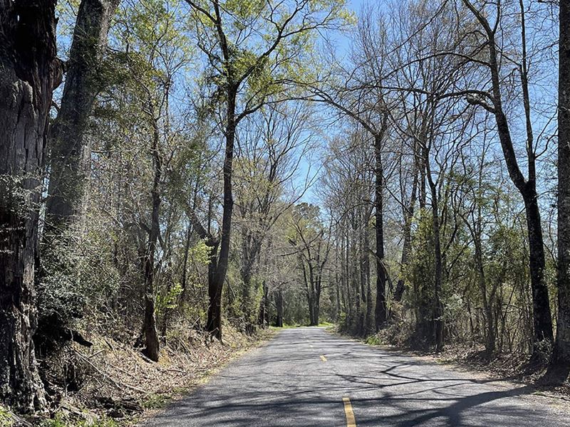 Multiple Lots, Owner Finance Okay : Kentwood : Tangipahoa Parish : Louisiana