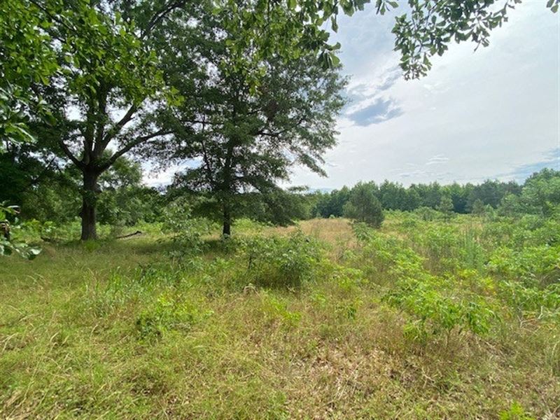 Couick Tract : Wadesboro : Anson County : North Carolina