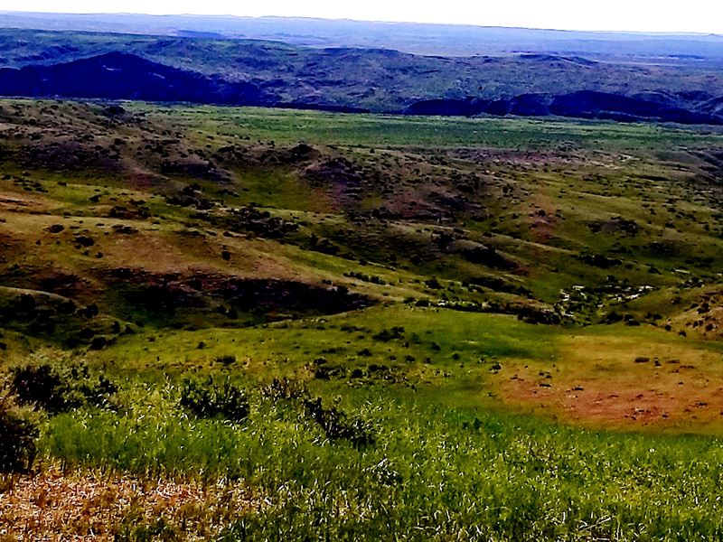 585 Acres North Willow Petroleum : Winnett : Petroleum County : Montana