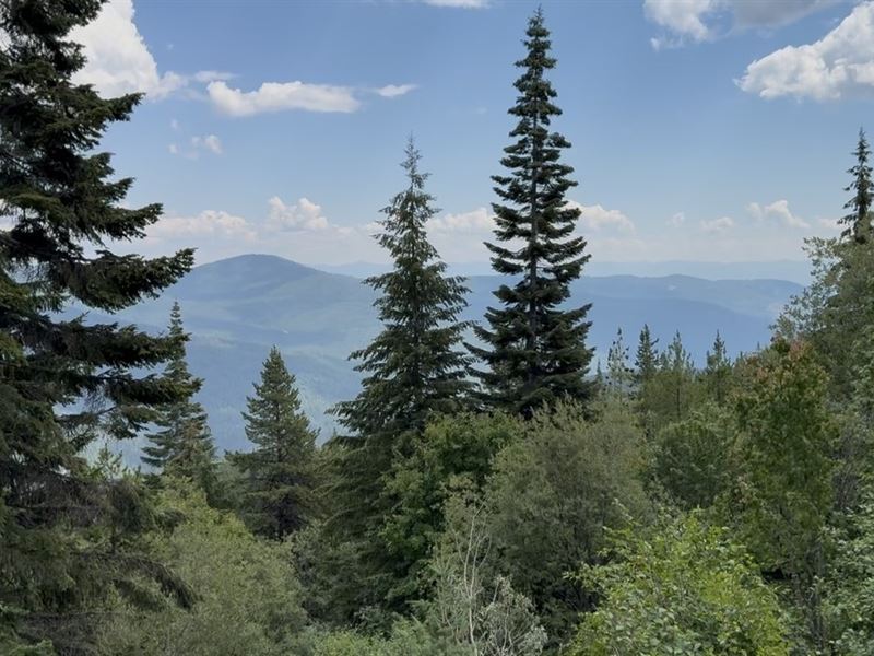Jeru Creek Overlook : Sandpoint : Boundary County : Idaho