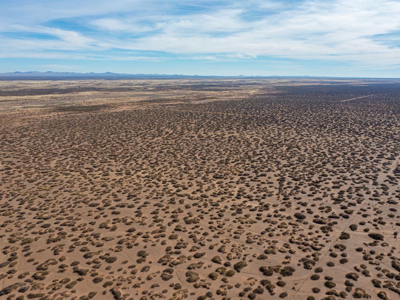 Just Yours, 40 Ac Ranch Lot, NM : Las Cruces : Luna County : New Mexico