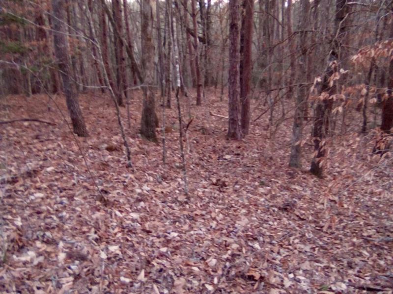 22.6 Ac Very Close to Town and Hosp : Murphy : Cherokee County : North Carolina