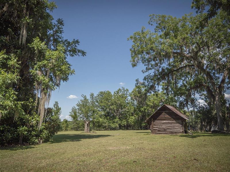 Boggy Bay O'neal Farm : Greenville : Madison County : Florida
