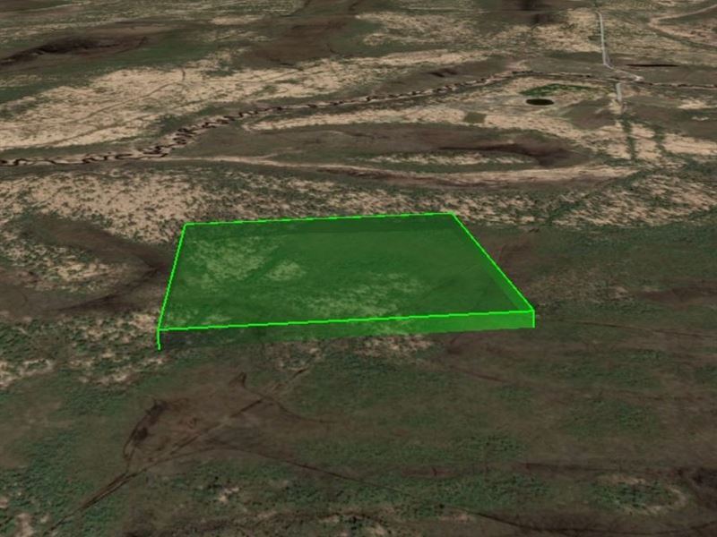 40 Acres of Unrestricted Land in AK : Anchor Point : Kenai Peninsula Borough : Alaska