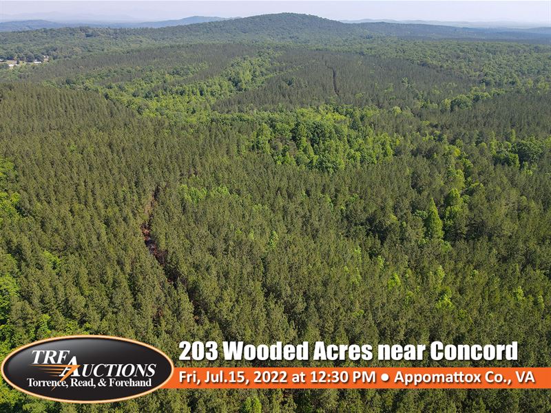 203 Wooded Acres, Concord, VA : Concord : Appomattox County : Virginia