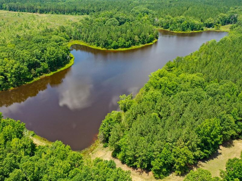 81 Acres and 15 Acre Lake : Tuskegee : Macon County : Alabama