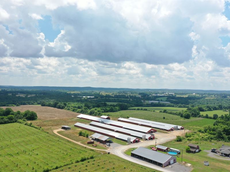 Mulberry Fork Farm : Arab : Cullman County : Alabama